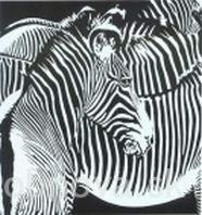 Obnova.sk Fotografia