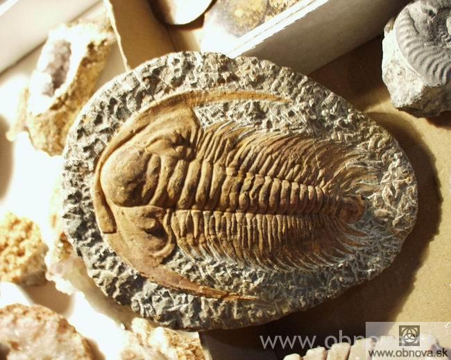 9-2003burza-mniral09