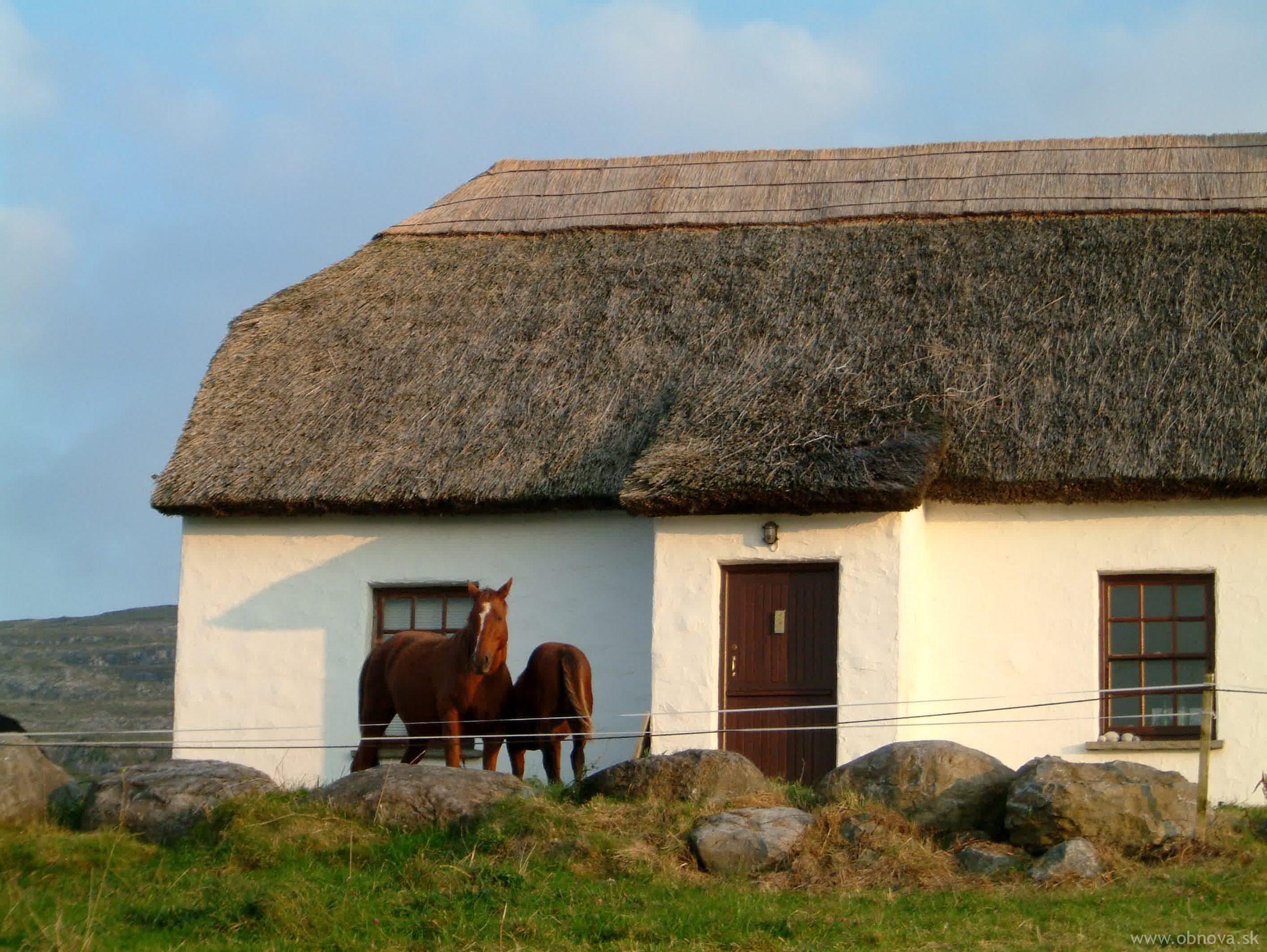 IRSKO - KELLY - 3 155