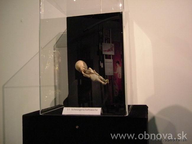 palo-mnichov-2003leto-026