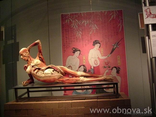 palo-mnichov-2003leto-027