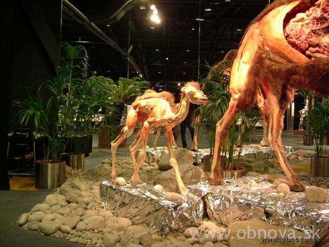 palo-mnichov-2003leto-029