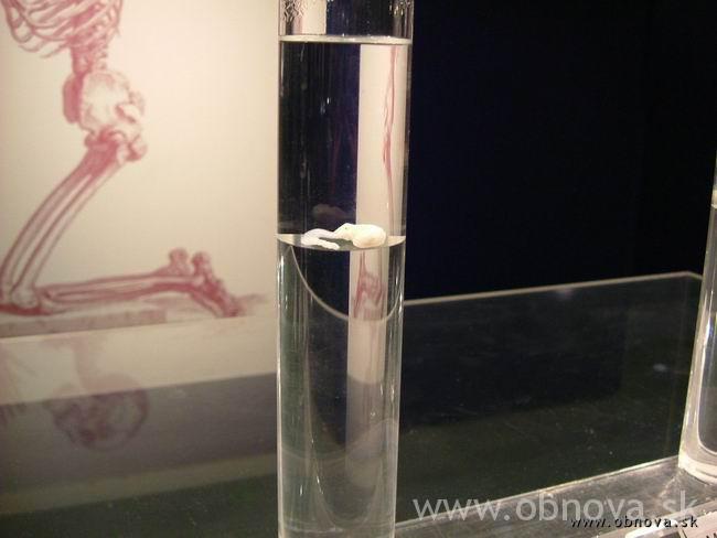 palo-mnichov-2003leto-030