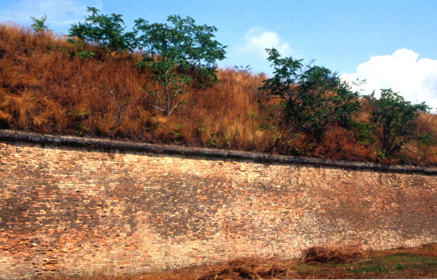 Logo hesla v slovniku