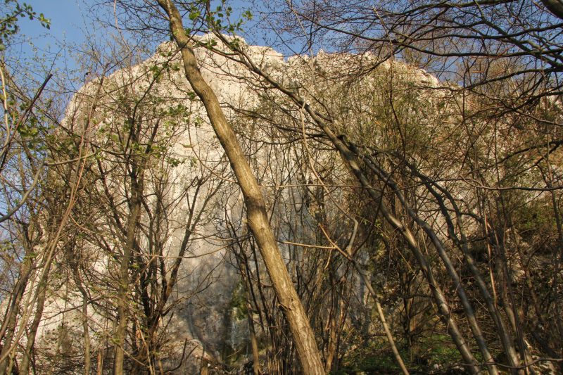 Titulny obrazok blogu uzivatela: Orgon