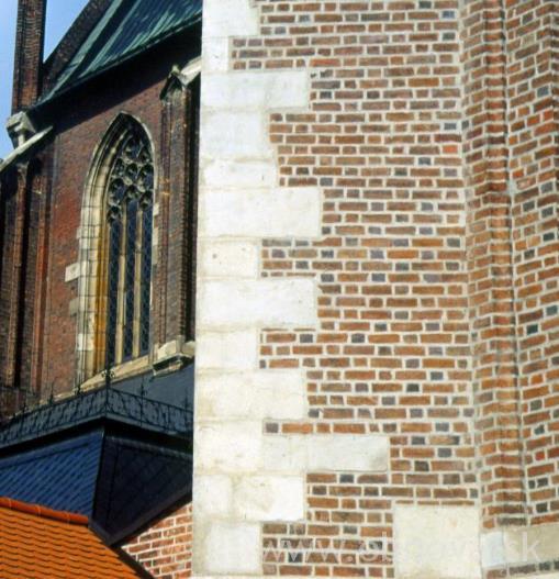 Brno Mendel škárovanie