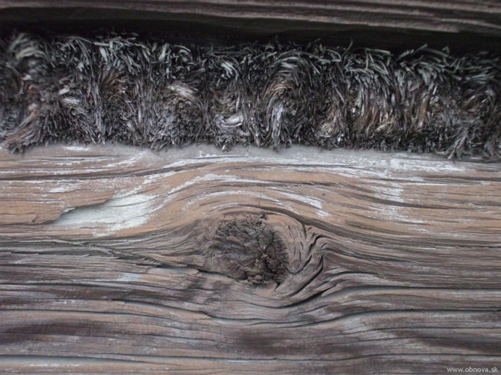 drevenica_luxol_detail-JZ