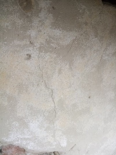 278012093_505371207928350_5598413685009403280_n