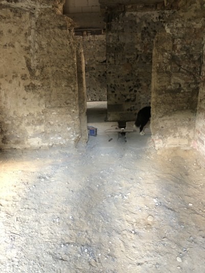 49D476DD-9BCE-49B5-8D31-470F12ED9982